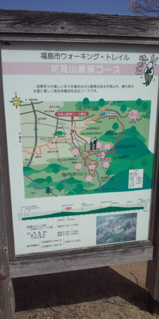 DCF00197.JPG