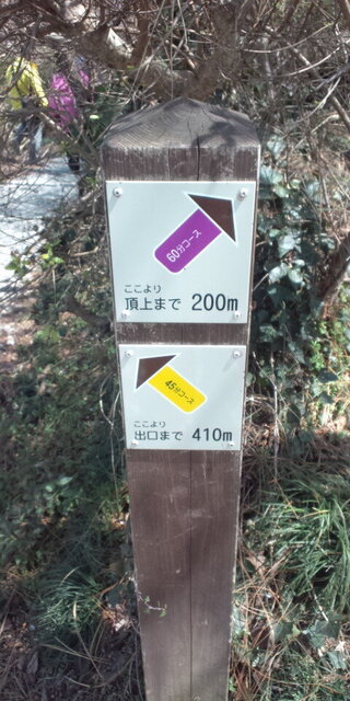 DCF00213.JPG