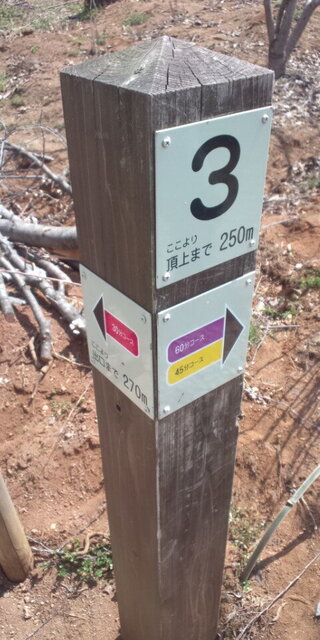 DCF00218.JPG