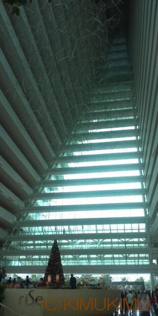 DCF00224.JPG