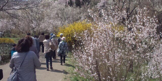DCF00260.JPG
