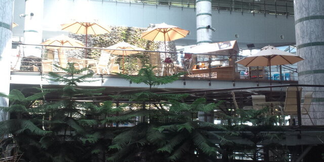 DCF00280.JPG