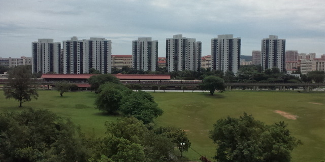 DCF00451.JPG