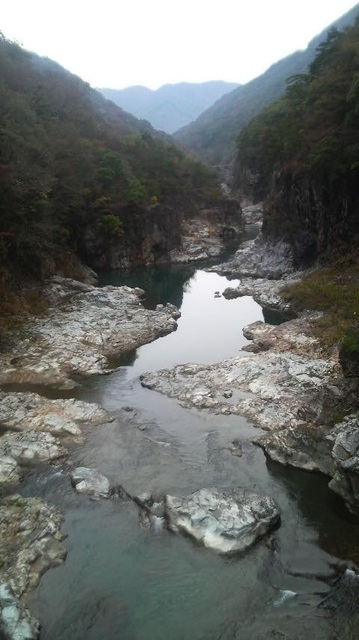 2008102611390001.jpg
