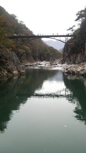 2008102611560000.jpg