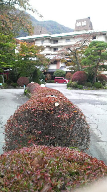2008102614460001.jpg