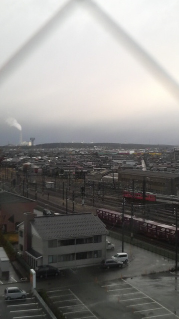 P1000796.jpg