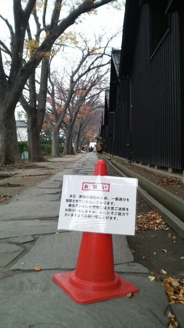 P1000818.jpg