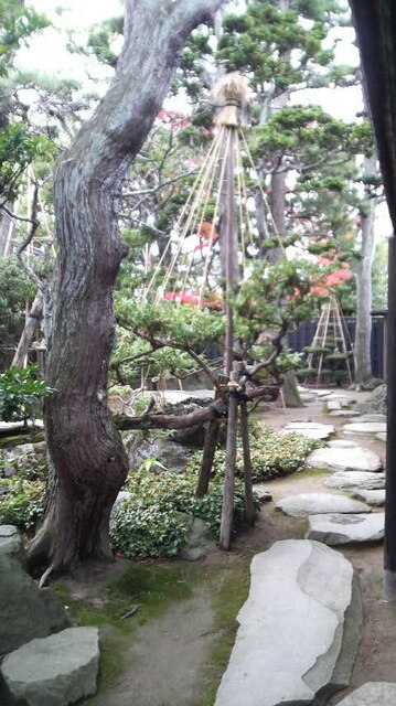 P1000823.jpg