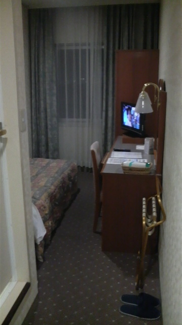 P1000861.jpg