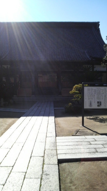 P1000908.jpg