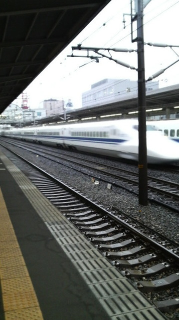 P1001053.jpg