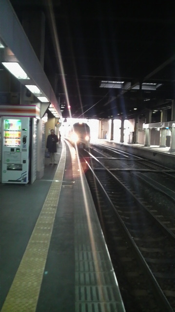 P1001236.jpg