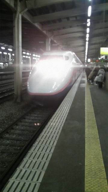 P1001245.jpg