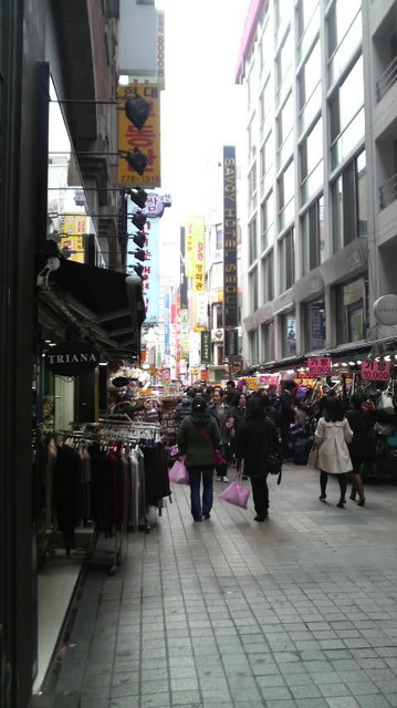 P1001445.jpg