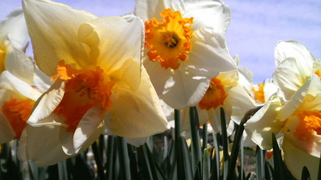 2009032911150000.jpg
