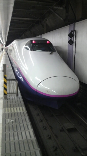 P1001773.jpg