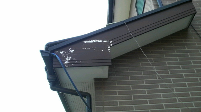 2009050422210000.jpg