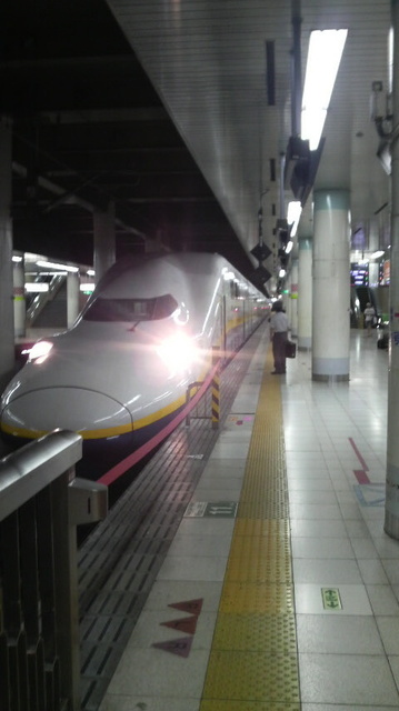 P1000189.jpg