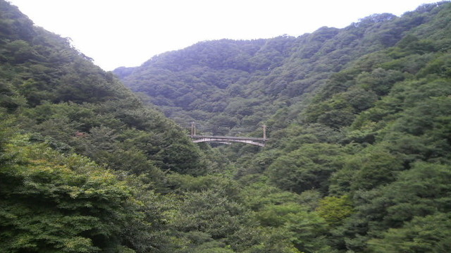 2009071915220000.jpg