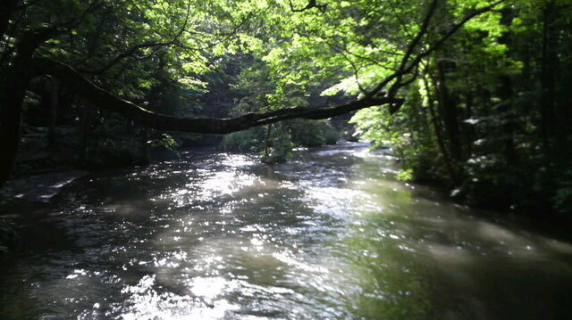 2009081508260000.jpg