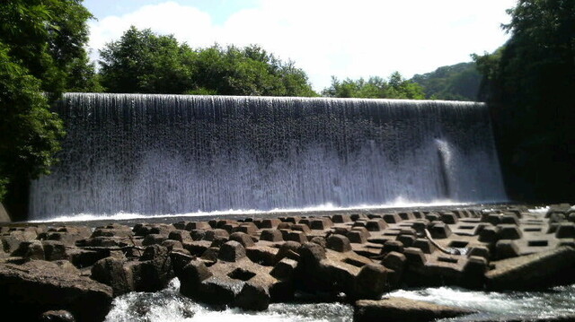 2009081723260000.jpg