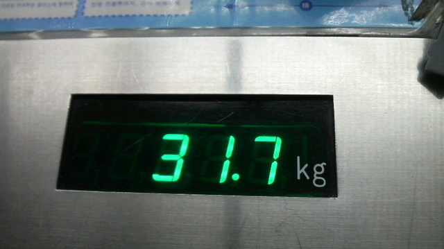 2009082510480000.jpg