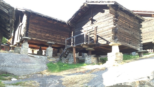 IMG_6772.JPG