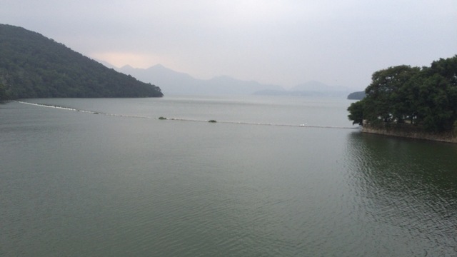 IMG_8055.JPG