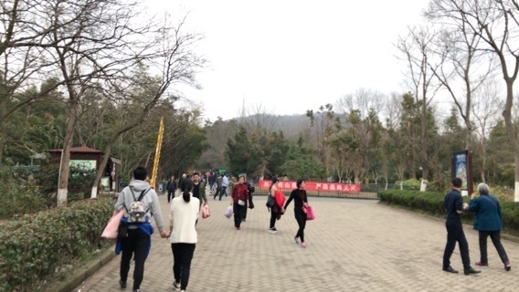 2018-03-04T15:59:10.JPG