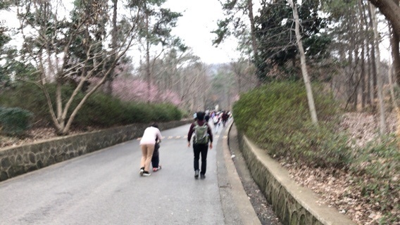 2018-03-04T15:59:10.JPG