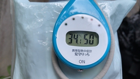 2018-06-17T22:50:40.JPG