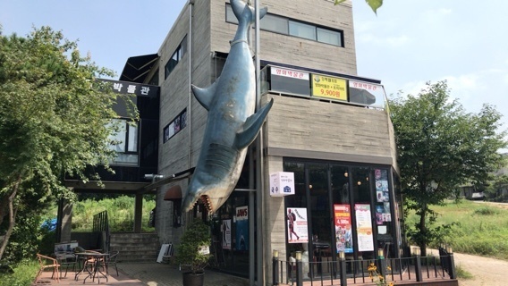 2018-07-26T18:33:07.JPG