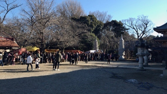 2019-01-04T21:05:03.JPG