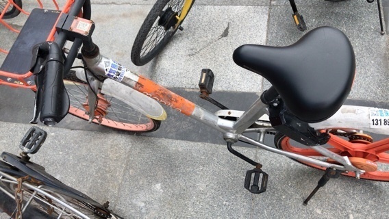 2019-06-17T16:55:04.jpeg