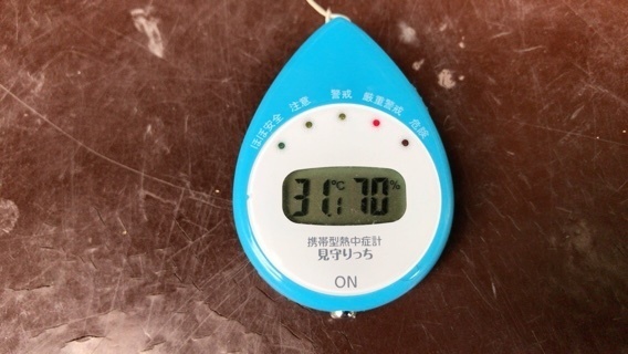 2019-06-17T16:55:04.jpeg