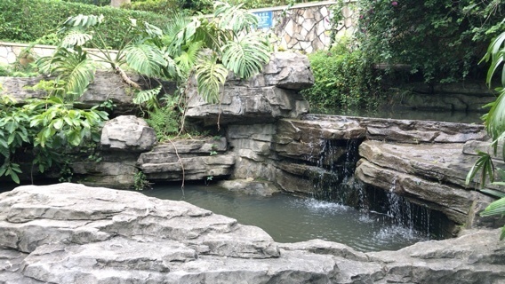 2019-06-17T16:55:04.jpeg