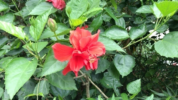 2019-06-17T16:58:30.jpeg