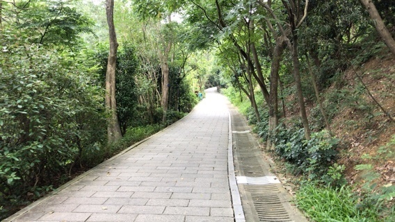 2019-06-17T16:58:30.jpeg