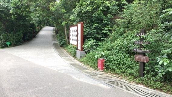 2019-06-17T16:58:30.jpeg