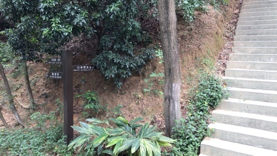 2019-06-17T16:58:30.jpeg
