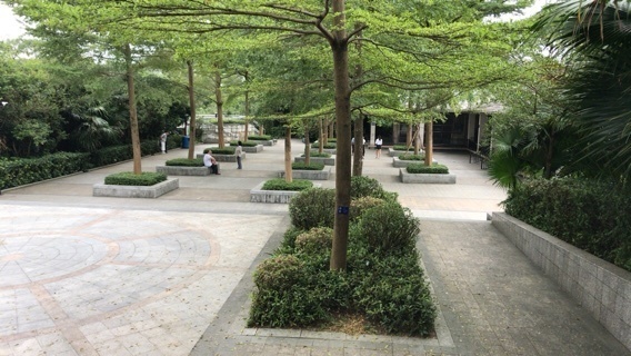 2019-06-17T16:58:30.jpeg