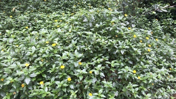 2019-06-17T17:04:59.jpeg