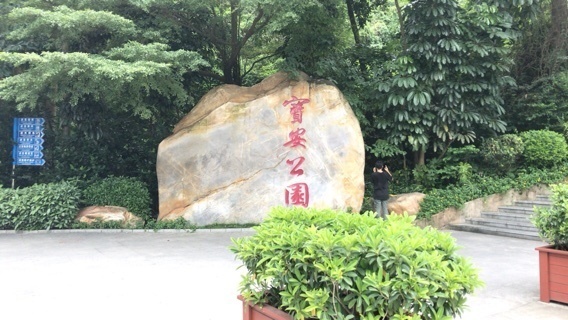 2019-06-17T17:04:59.jpeg