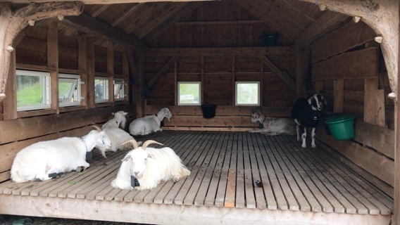 2019-09-01T13:28:27.JPG