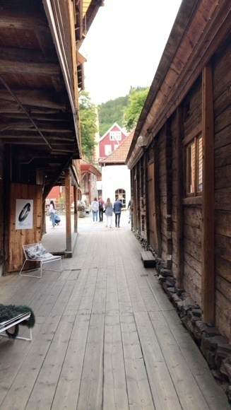 2019-09-01T13:38:26.jpeg