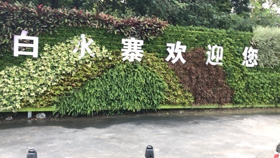 2019-09-10T00:05:40.JPG