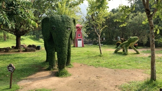 2019-09-10T00:05:40.JPG