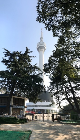 2019-11-10T21:40:11.JPG