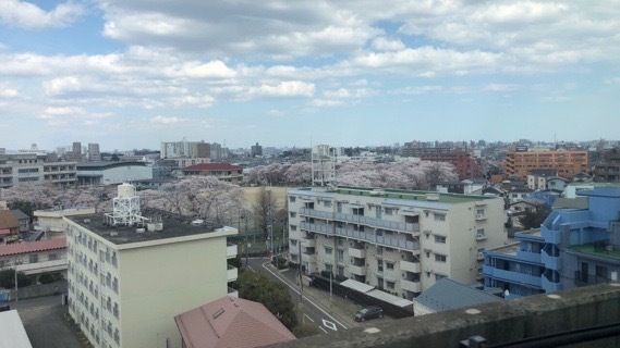 2020-04-07T18:39:56.JPG